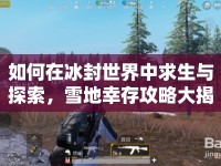 如何在冰封世界中求生與探索，雪地幸存攻略大揭秘？