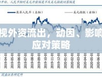 透視外資流出，動(dòng)因、影響與應(yīng)對(duì)策略