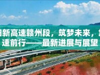 陽新高速贛州段，筑夢未來，加速前行——最新進展與展望