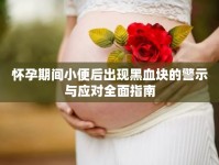 懷孕期間小便后出現(xiàn)黑血塊的警示與應對全面指南