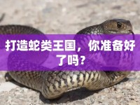 打造蛇類王國，你準(zhǔn)備好了嗎？