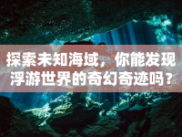 探索未知海域，你能發(fā)現(xiàn)浮游世界的奇幻奇跡嗎？