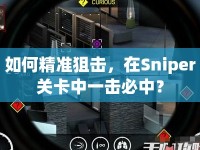 如何精準(zhǔn)狙擊，在Sniper關(guān)卡中一擊必中？