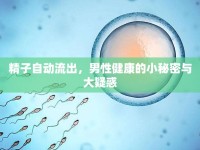 精子自動(dòng)流出，男性健康的小秘密與大疑惑
