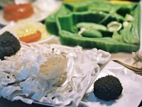 為什么李阿姨既是優(yōu)雅的典范，又是智慧的化身？