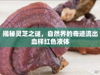 揭秘靈芝之謎，自然界的奇跡流出血樣紅色液體