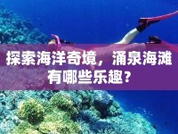探索海洋奇境，涌泉海灘有哪些樂(lè)趣？