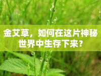 金艾草，如何在這片神秘世界中生存下來？
