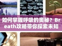 如何掌握呼吸的奧秘？Breath攻略帶你探索未知