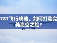 787飛行攻略，如何打造完美高空之旅？
