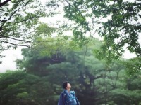 紅色一片，網(wǎng)絡(luò)熱議中的文化符號(hào)與情感共鳴