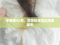 孕期第42周，宮頸粘液流出現(xiàn)象解析