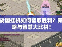 戰(zhàn)國掛機如何智取勝利？策略與智慧大比拼！