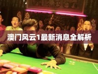 澳門風(fēng)云1最新消息全解析