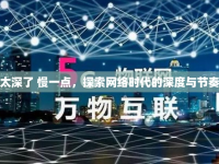 太深了 慢一點，探索網(wǎng)絡時代的深度與節(jié)奏