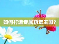 如何打造專(zhuān)屬萌寵王國(guó)？
