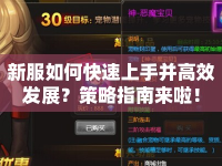 新服如何快速上手并高效發(fā)展？策略指南來啦！