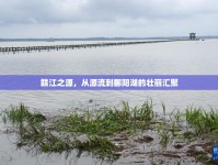 贛江之源，從源流到鄱陽(yáng)湖的壯麗匯聚
