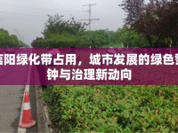 信陽綠化帶占用，城市發(fā)展的綠色警鐘與治理新動向