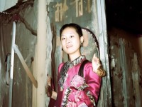 體木生存能力弱？這套裝備助你逆襲成輔助王者！
