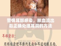 警惕耳部感染，膿血流出后正確處理耳洞的方法