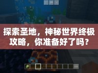 探索圣地，神秘世界終極攻略，你準(zhǔn)備好了嗎？