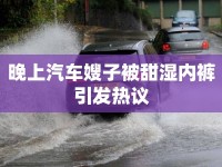 晚上汽車嫂子被甜濕內(nèi)褲引發(fā)熱議