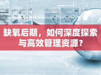 缺氧后期，如何深度探索與高效管理資源？