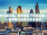 伊河路市場，城市變遷下的新篇章——最新搬遷動態(tài)與未來展望
