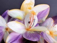 婷婷五月激情綜合，究竟有哪些獨(dú)特魅力等待探索？
