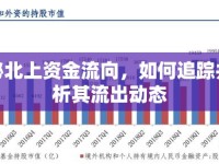 揭秘北上資金流向，如何追蹤并分析其流出動態(tài)