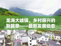 龍海大岐鎮(zhèn)，鄉(xiāng)村振興的新篇章——最新發(fā)展動態(tài)與未來展望