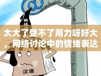 太大了受不了用力呀好大，網(wǎng)絡(luò)討論中的情緒表達(dá)與語(yǔ)言現(xiàn)象