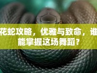 花蛇攻略，優(yōu)雅與致命，誰能掌握這場舞蹈？
