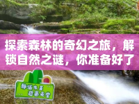 探索森林的奇幻之旅，解鎖自然之謎，你準(zhǔn)備好了嗎？