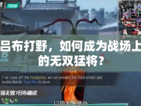 呂布打野，如何成為戰(zhàn)場上的無雙猛將？
