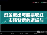 資金流出與股票收紅，市場(chǎng)背后的邏輯與現(xiàn)象深度解析