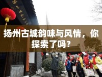 揚(yáng)州古城韻味與風(fēng)情，你探索了嗎？