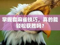 掌握套麻雀技巧，真的能輕松獲勝嗎？