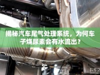 揭秘汽車尾氣處理系統，為何車子燒尿素會有水流出？