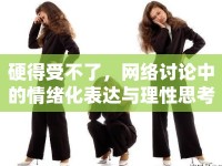硬得受不了，網(wǎng)絡(luò)討論中的情緒化表達與理性思考