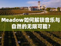 Meadow如何解鎖音樂與自然的無限可能？