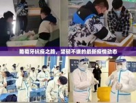 葡萄牙抗疫之路，堅(jiān)韌不拔的最新疫情動(dòng)態(tài)