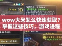 wow大米怎么快速獲??？掌握這些技巧，游戲進(jìn)程飛起來！