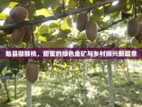勉縣獼猴桃，甜蜜的綠色金礦與鄉(xiāng)村振興新篇章