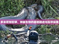 多米尼加巨蟒，神秘生物的最新蹤跡與科學探索