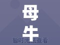 母牛產(chǎn)前豆腐渣現(xiàn)象，健康預(yù)警與科學(xué)管理