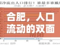 合肥，人口流動(dòng)的雙面繡——流入與流出數(shù)據(jù)的深度剖析