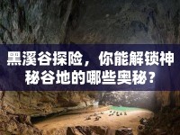 黑溪谷探險(xiǎn)，你能解鎖神秘谷地的哪些奧秘？