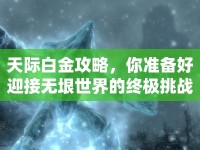 天際白金攻略，你準(zhǔn)備好迎接無垠世界的終極挑戰(zhàn)了嗎？